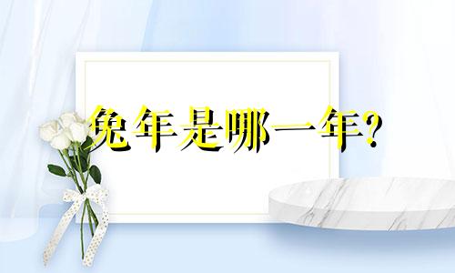 兔年是哪一年?