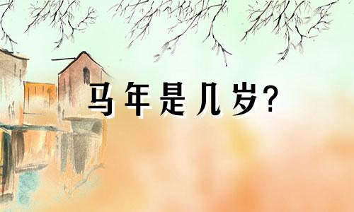 马年是几岁?