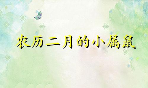农历二月的小属鼠