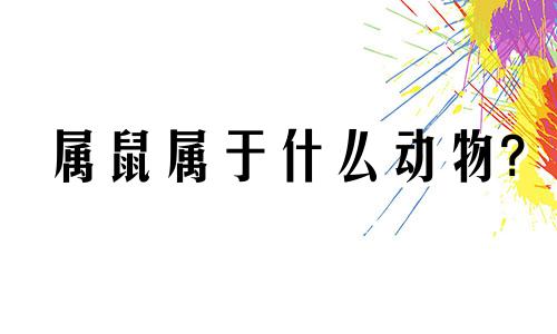 属鼠属于什么动物?