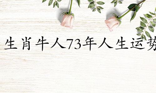 生肖牛人73年人生运势