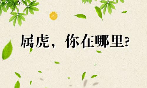 属虎,你在哪里?