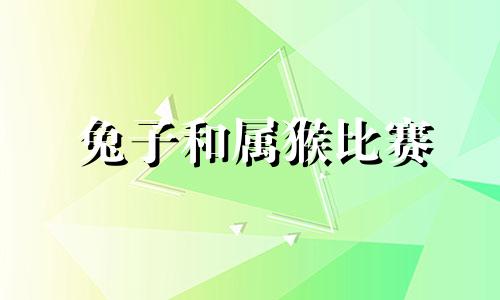 兔子和属猴比赛