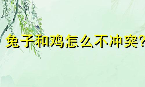 兔子和鸡怎么不冲突?
