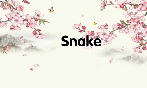 Snake 2022 Fortune and Destiny什么是灾难