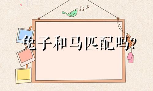 兔子和马匹配吗?