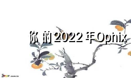 你的2022年Ophix 1977你的2022年Ophix星座运势