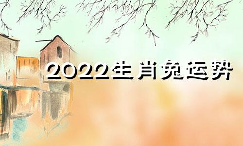 2022生肖兔运势
