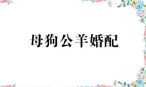 母狗公羊婚配