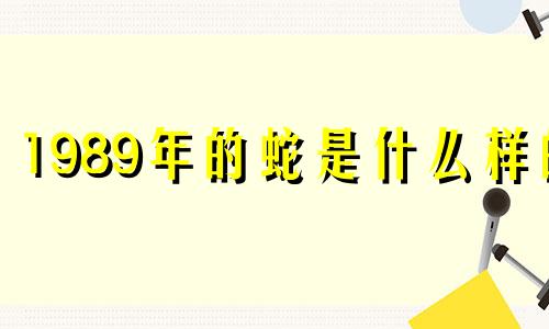 1989年的蛇是什么样的