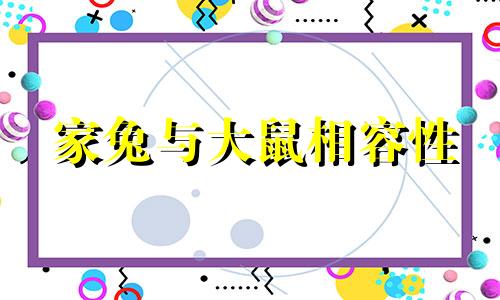 家兔与大鼠相容性