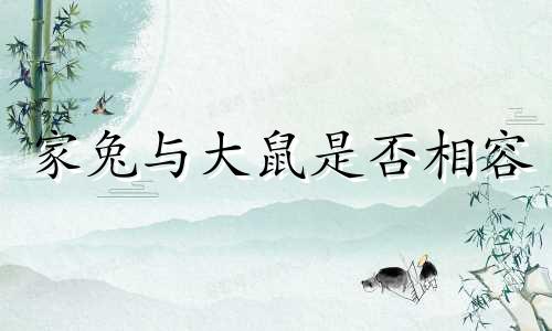 家兔与大鼠是否相容