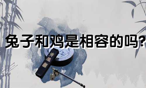 兔子和鸡是相容的吗?