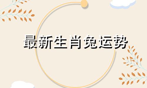 最新生肖兔运势
