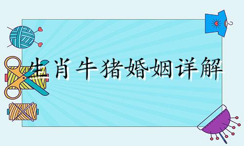 生肖牛猪婚姻详解