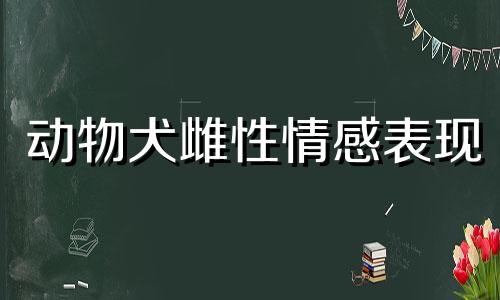 动物犬雌性情感表现