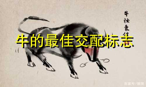 牛的最佳交配标志