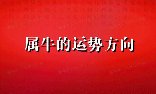 属牛的运势方向