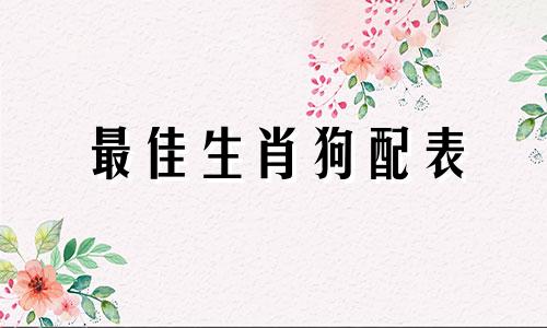 最佳生肖狗配表