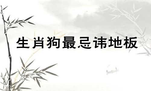 生肖狗最忌讳地板