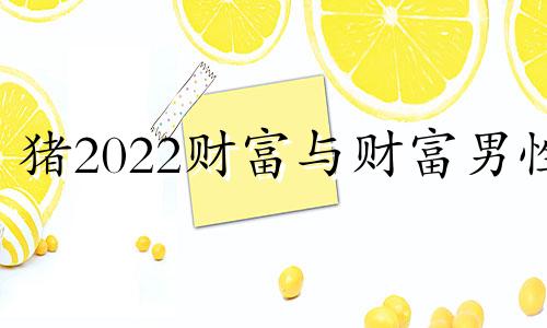 猪2022财富与财富男性