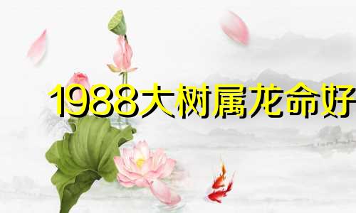 1988大树属龙命好