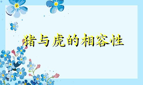 猪与虎的相容性