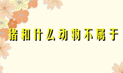 猪和什么动物不属于