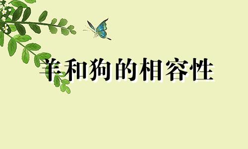 羊和狗的相容性