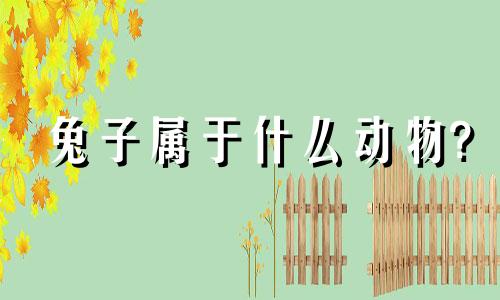 兔子属于什么动物?