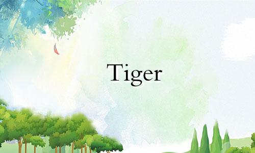 Tiger 1938有多少年了?