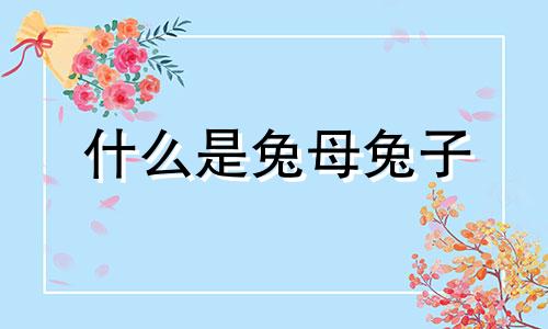 什么是兔母兔子