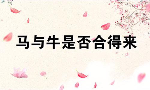 马与牛是否合得来