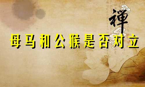 母马和公猴是否对立