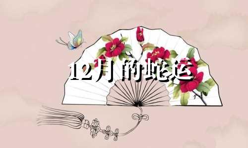 12月的蛇运