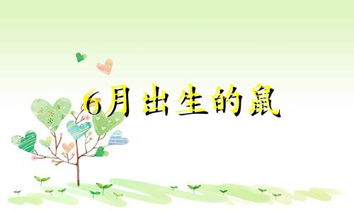 6月出生的鼠