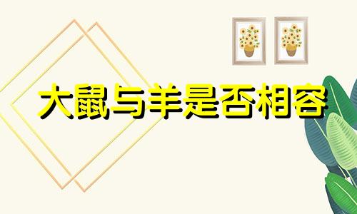 大鼠与羊是否相容