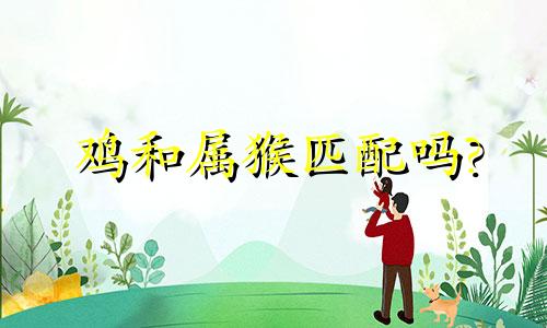 鸡和属猴匹配吗?