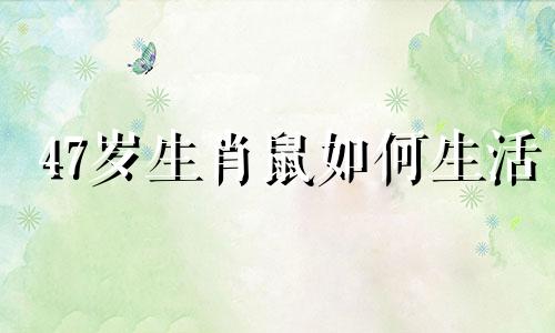 47岁生肖鼠如何生活