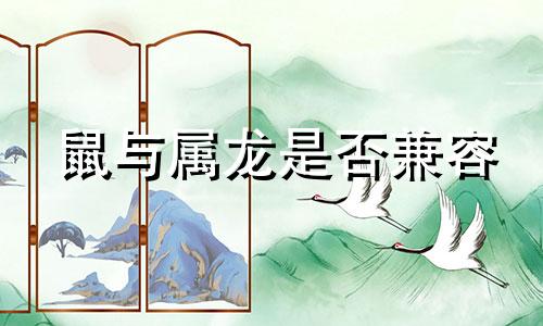 鼠与属龙是否兼容