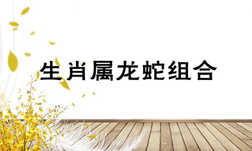 生肖属龙蛇组合