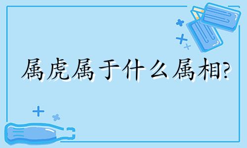 属虎属于什么属相?