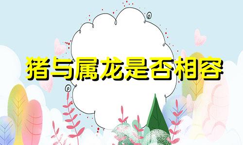 猪与属龙是否相容