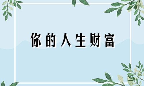 你的人生财富
