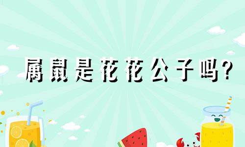 属鼠是花花公子吗?