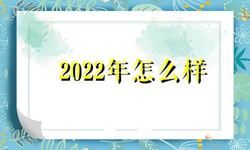 2022年怎么样