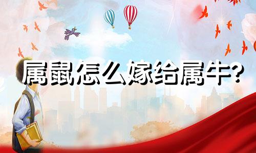 属鼠怎么嫁给属牛?