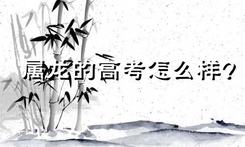 属龙的高考怎么样?