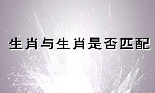 生肖与生肖是否匹配