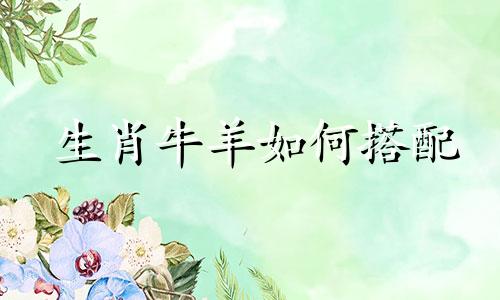 生肖牛羊如何搭配